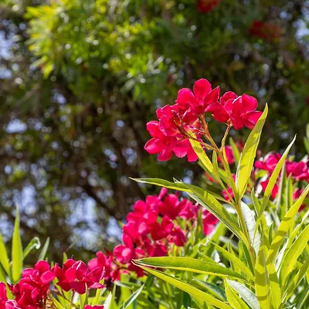 Villa Skales Almiros Beach